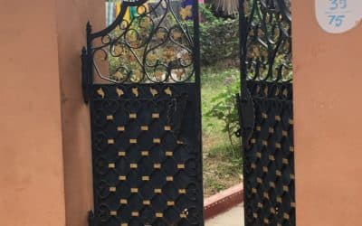 14 Lessons from 14 Days in India