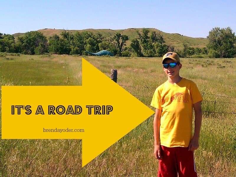 A Road Trip And A World Tour