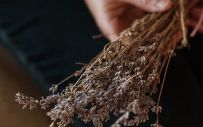 Finding Peace and Healing this Christmas