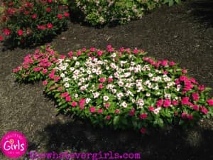 Helping Your Daughter Grow Through Pain