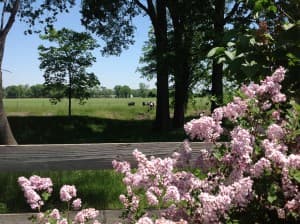 Shutting Out The Noise And Finding Rest