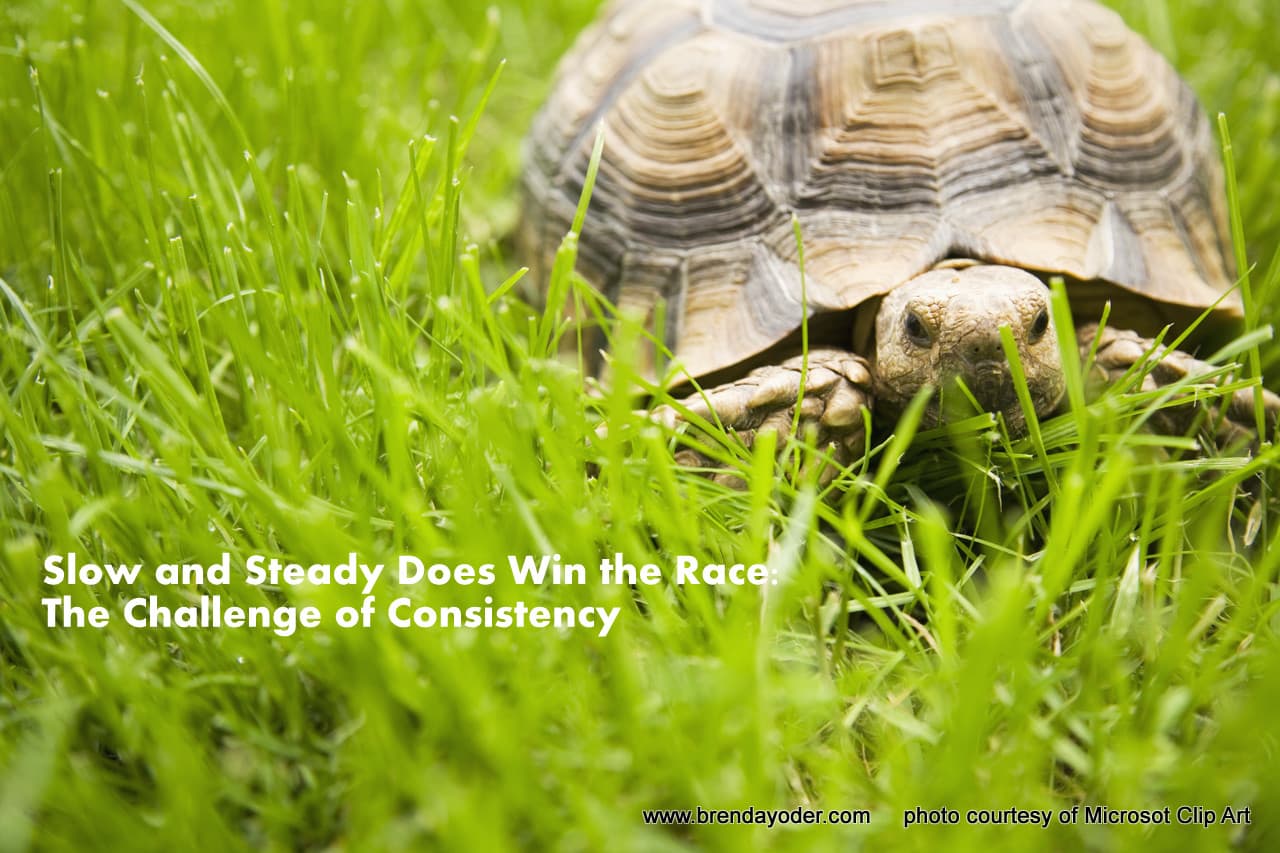 Slow and Steady Does Win the Race: The Challenge of Consistency