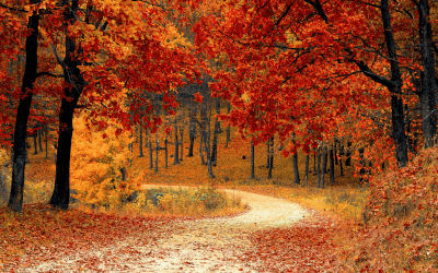 5 Hacks for Life Care, Not Self Care