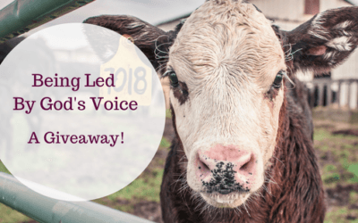 Being Led by God’s Voice-A Giveaway!