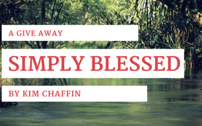 Finding Joy in the Little Things {A Give Away}